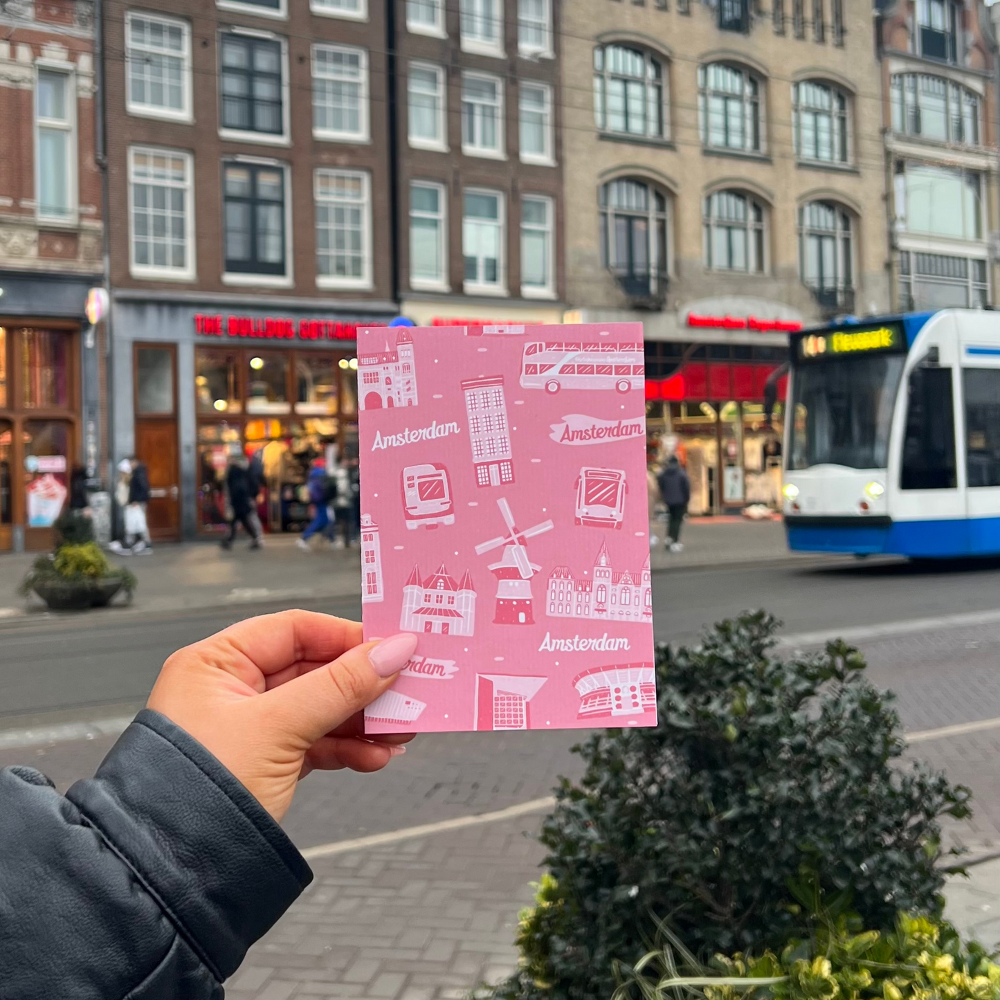 Pink Amsterdam Greetings Card
